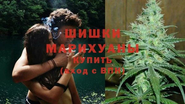 МДПВ Рославль
