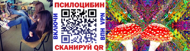 Псилоцибиновые грибы Magic Shrooms  мега сайт  Котельнич 